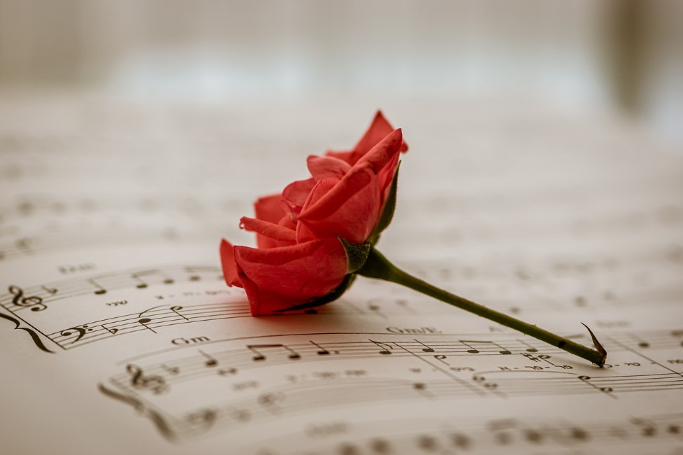 Musica e Cimatica: un viaggio tra il tangibile e l'intangibile per grandi e piccini 1 musica