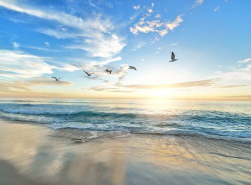 Respiri del cielo: l'aria come messaggera 97 aria