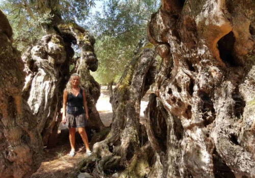 dendroterapia energetica