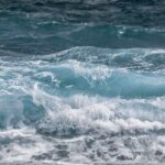 L'acqua come maestra: energia vibrazionale e custode della vita 3 mare