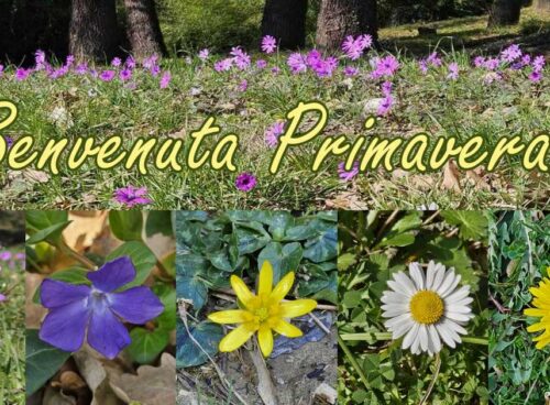 benvenuta-primavera