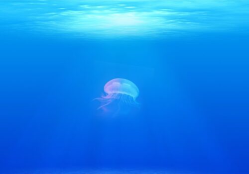 mare profondo